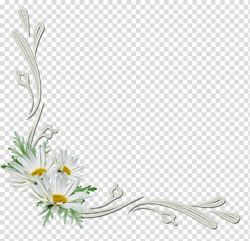 flowers corners, white daisy frame art transparent background PNG clipart