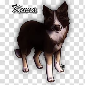 Kenna&#;s Support Card transparent background PNG clipart