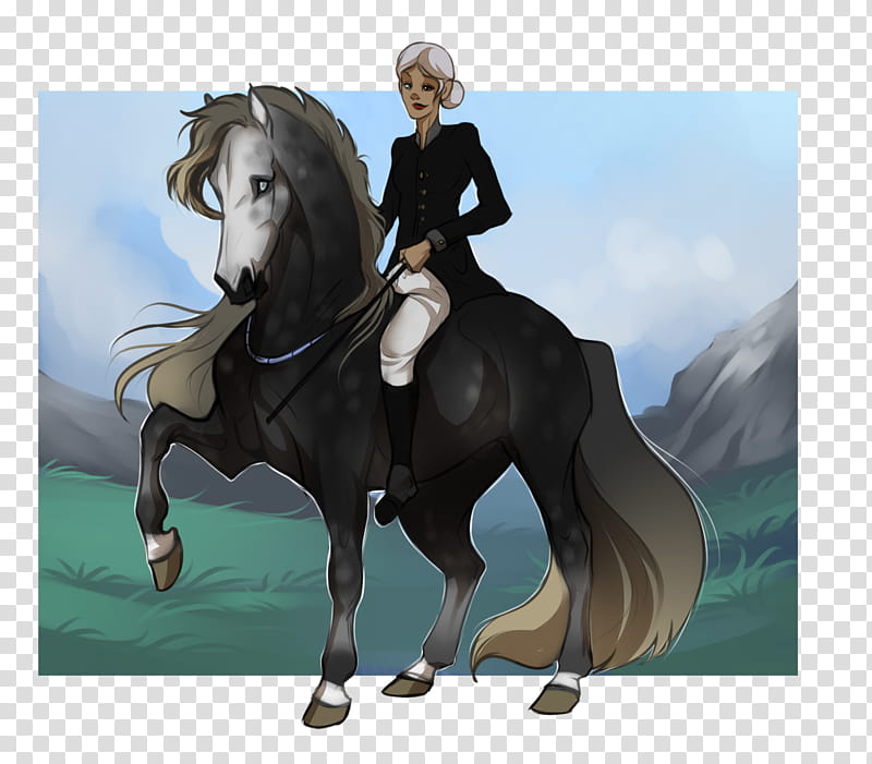 Horse, Stallion, Mustang, Mare, Bridle, English Riding, Equestrian, Mane transparent background PNG clipart