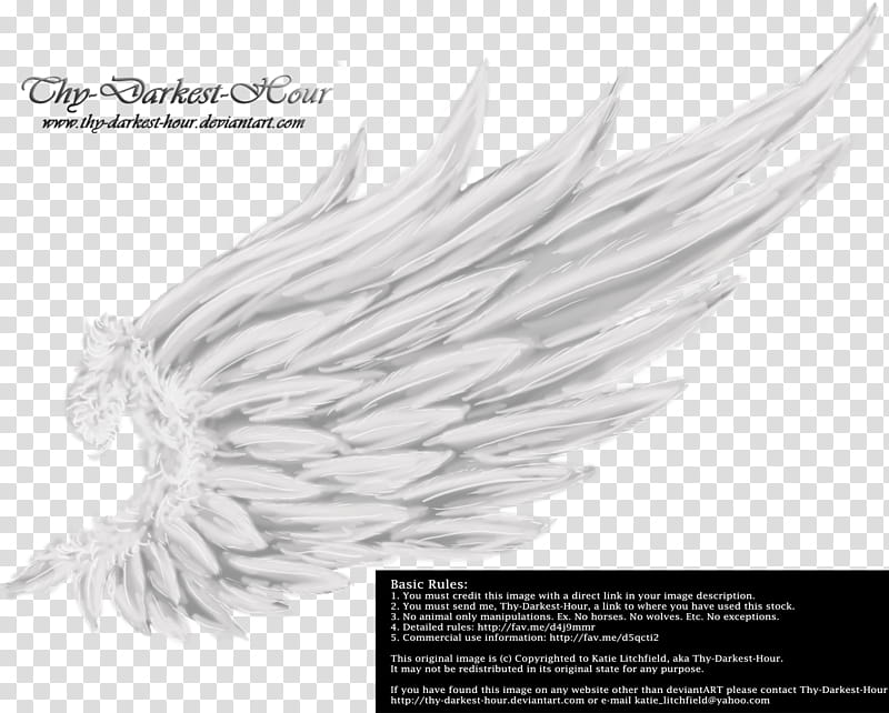 Angelic Innocence White Free, white wing illustration transparent background PNG clipart