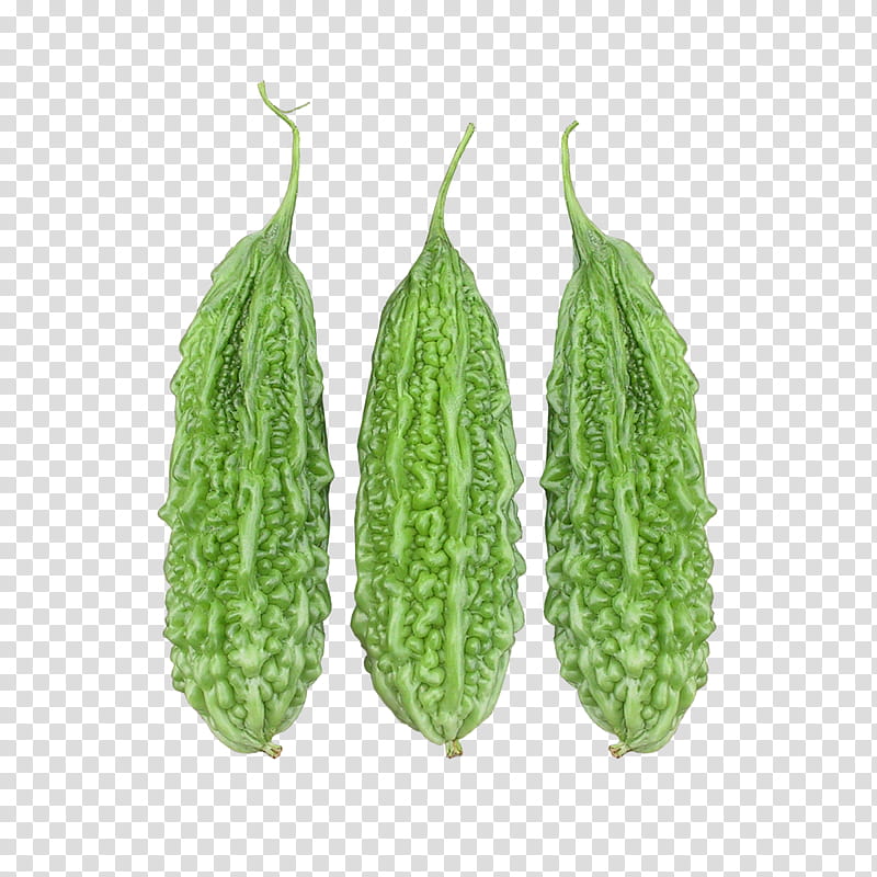 Green Leaf, Bitter Melon, Fruit, Food, Gourd, Microgreen, Color, Seed transparent background PNG clipart