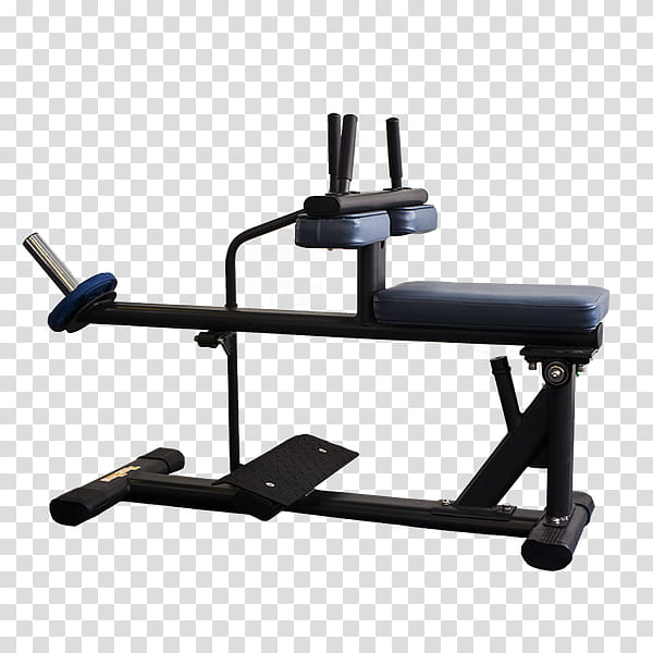 City, Gymaster Store, Weightlifting Machine, Sports, Fitness Centre, Distribution, Sales, Ho Chi Minh City transparent background PNG clipart