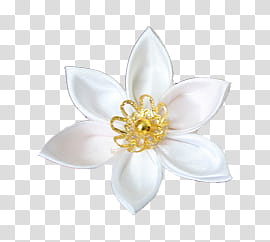 Recursos Para Tus Portadas D o etc, white and gold flower transparent background PNG clipart