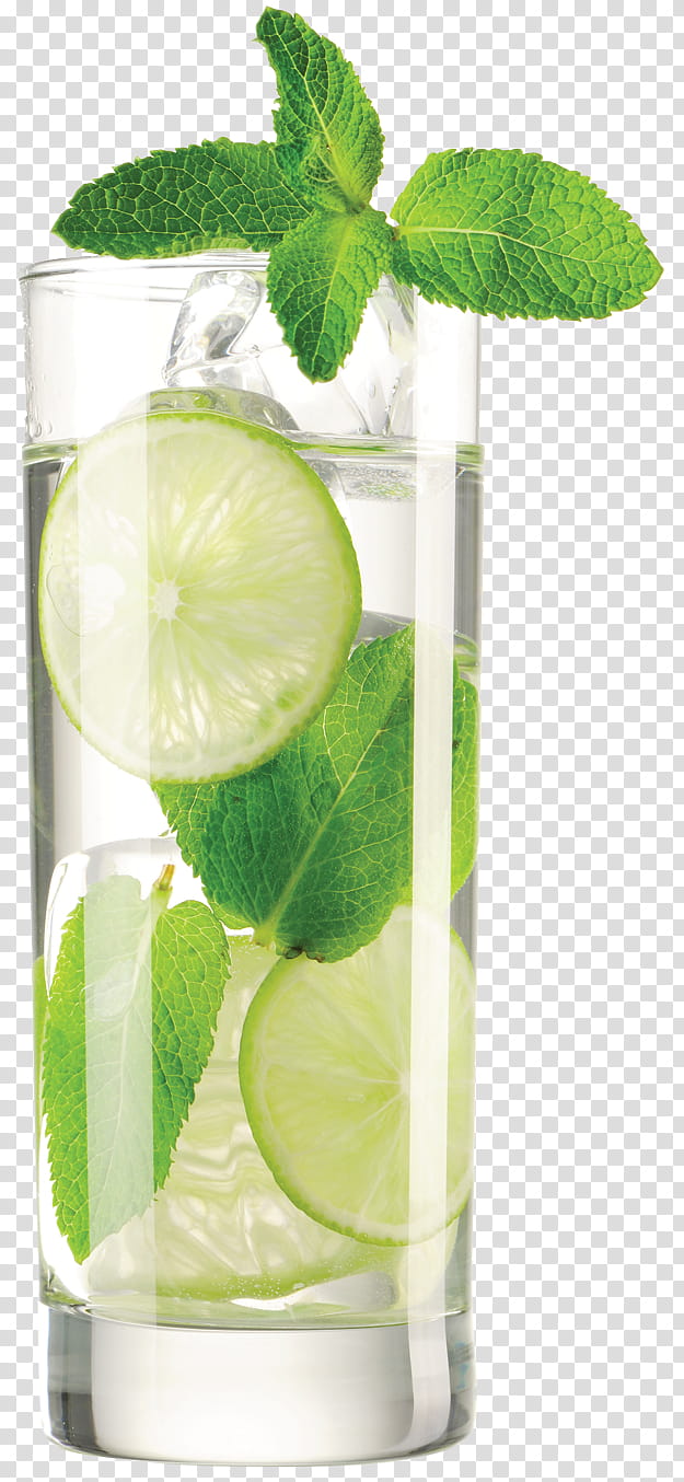 Lemon, Mojito, Caipirinha, Vodka Tonic, Water Filter, Lime, Cocktail, Cocktail Garnish transparent background PNG clipart