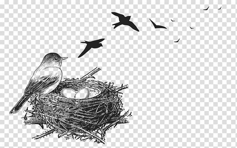 Twig, Bird Nest, Blackandwhite transparent background PNG clipart