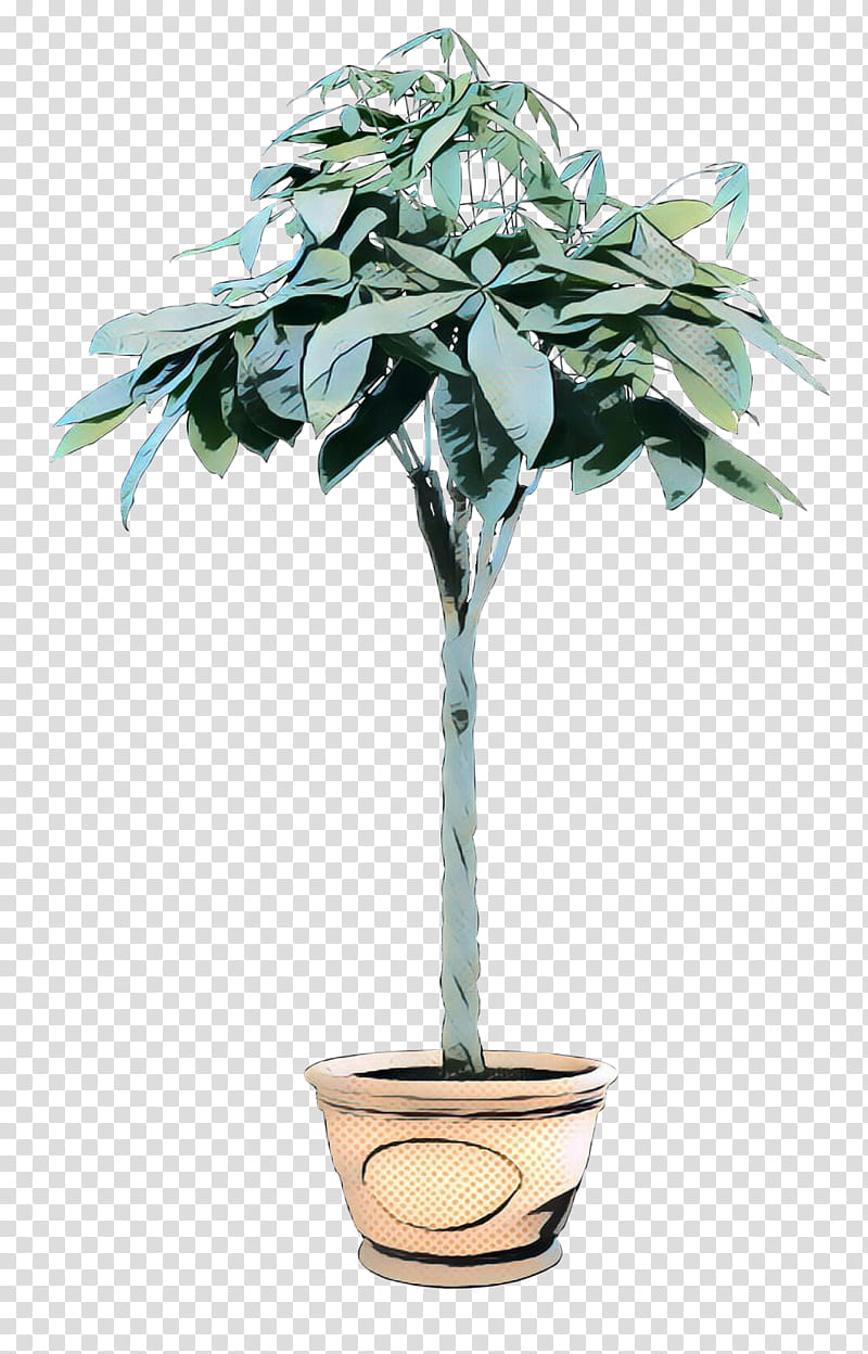 Cartoon Palm Tree, Flowerpot, Houseplant, Plant Stem, Plants, Leaf, Woody Plant, Jade Flower transparent background PNG clipart