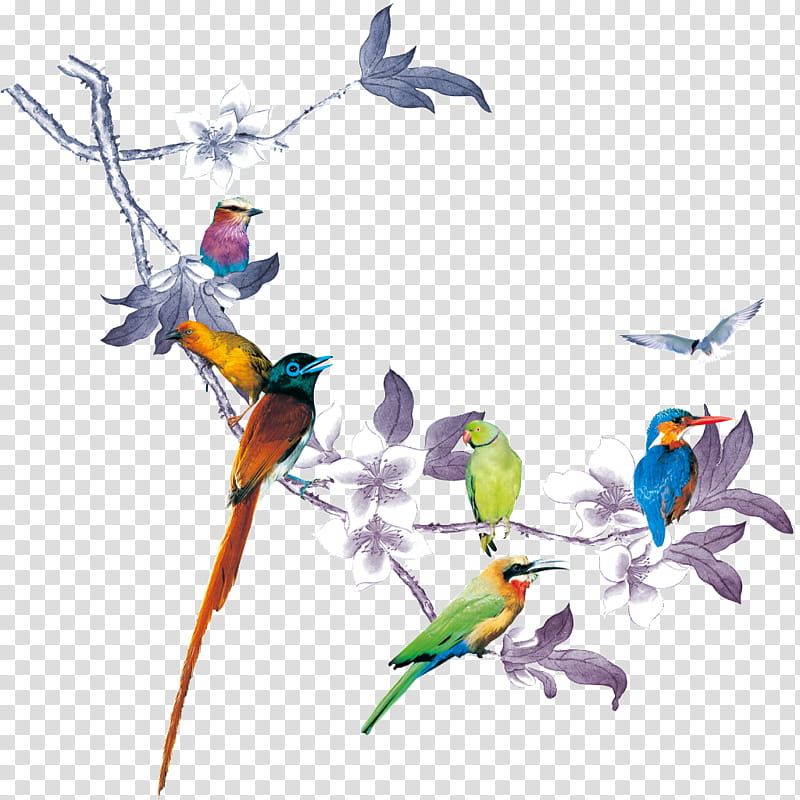 Floral Flower, Bird, Budgerigar, Cockatiel, Lovebird, Parakeet, True Parrot, Cockatoo transparent background PNG clipart