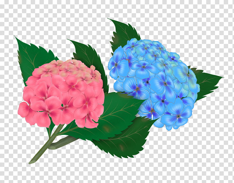 Spring Flowers, blue and pink petaled flowers illustration transparent background PNG clipart