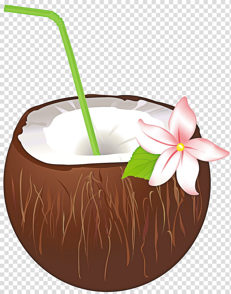 Orchid Flower, Food, Flowerpot, Coconut Water, Plant, Anthurium transparent background PNG clipart