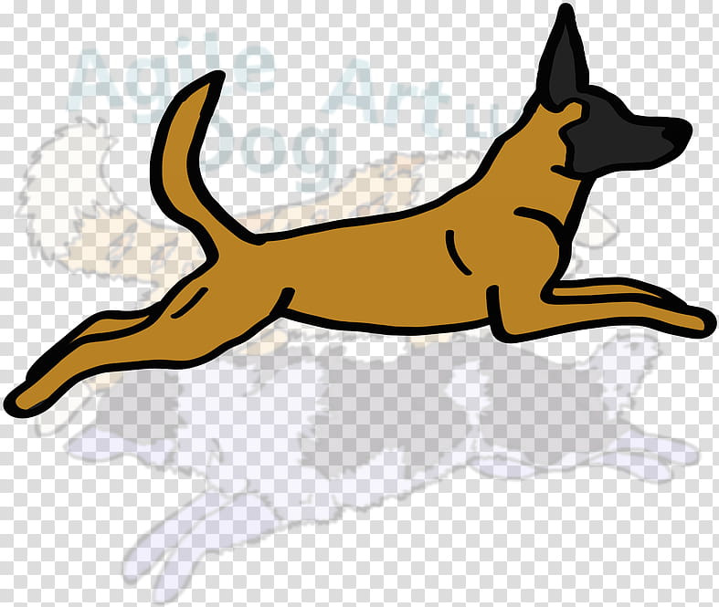 Corgi, Malinois Dog, Belgian Shepherd, Cardigan Welsh Corgi, Siberian Husky, Smooth Collie, Pet, Line Art transparent background PNG clipart