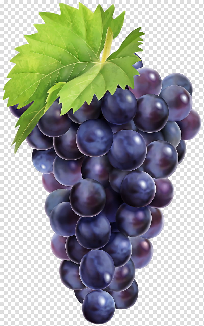 grape seedless fruit fruit grape leaves grapevine family, Plant, Food, Berry, Vitis, Superfood, Leaf, Currant transparent background PNG clipart