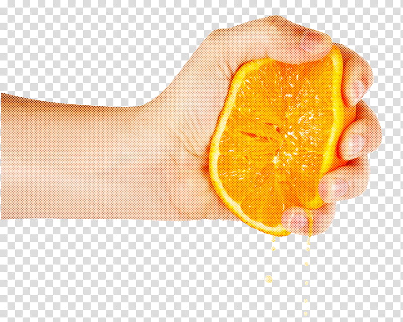 Orange, Citrus, Lemon, Fruit, Skin, Peel, Citric Acid, Grapefruit transparent background PNG clipart