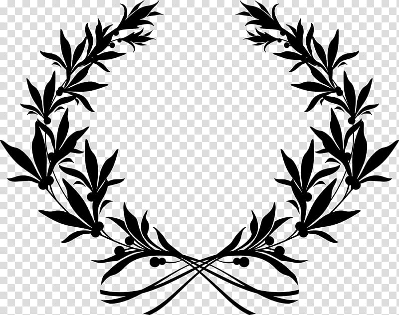 Leaf Wreath, Olive Wreath, Drawing, Branch, Plant, Line, Twig, Grass transparent background PNG clipart