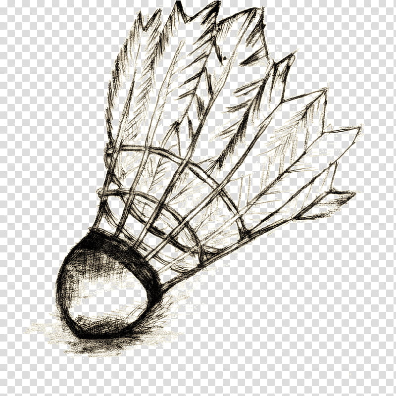 Apple Tree Drawing, Shuttlecock, Badminton, Badmintonracket, Sports, Iphone Xr, Iphone 6s, Iphone Xs transparent background PNG clipart