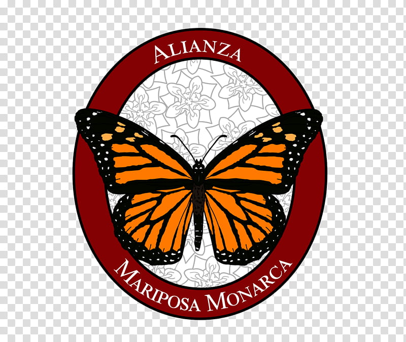 Club Alianza Mariposa Monarca  transparent background PNG clipart