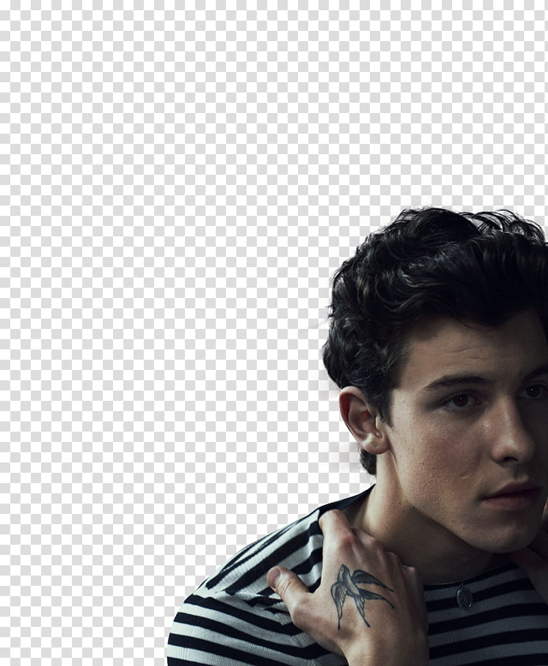 SHAWN MENDES, +shawn mendes transparent background PNG clipart