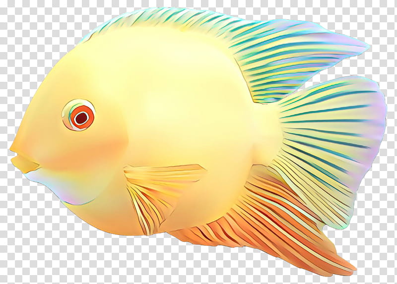 Coral Reef, Coral Reef Fish, Biology, Beak, Pomacanthidae, Butterflyfish, Fin, Parrotfish transparent background PNG clipart