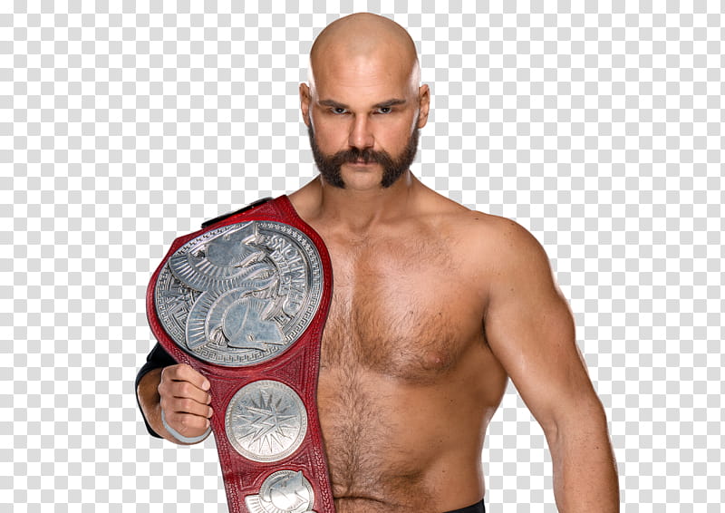 Scott Dawson Raw TTC New Render  transparent background PNG clipart