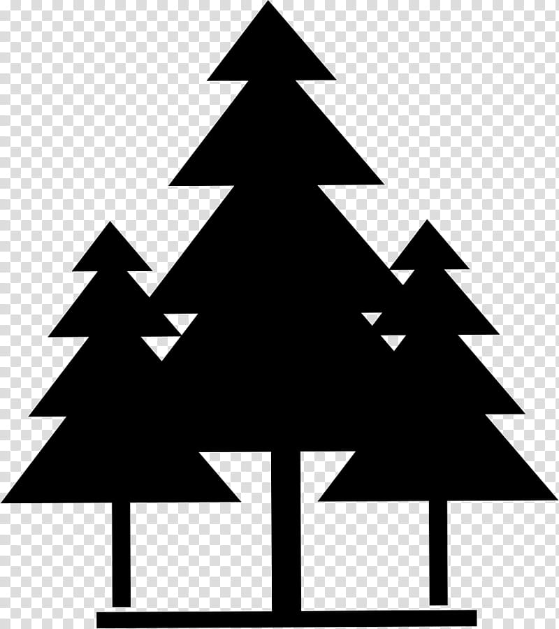 Family Tree Design, Sign Semiotics, Christmas Tree, Oregon Pine, Christmas Decoration, Conifer, Woody Plant, Pine Family transparent background PNG clipart