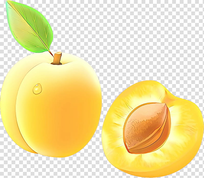 european plum fruit yellow food plant, Tree, Apricot Kernel, Yellow Plum, Asian Pear transparent background PNG clipart