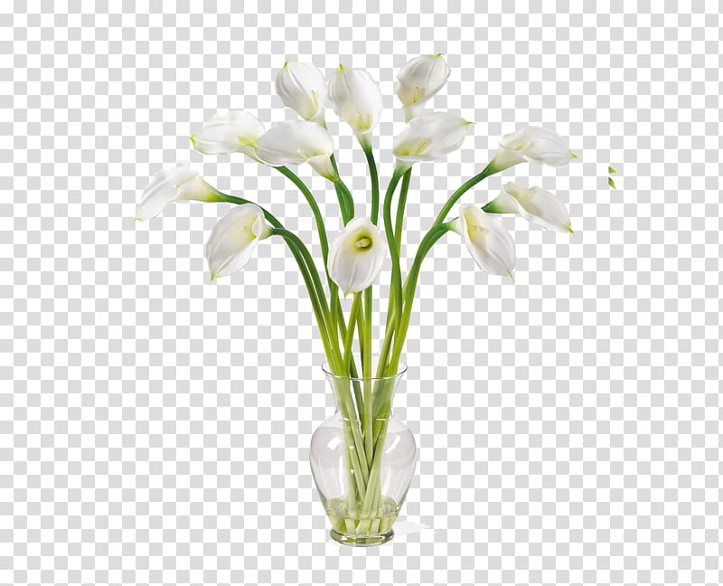 White Lily Flower, Arumlily, Pink Calla Lily, Floral Design, Artificial Flower, Flower Bouquet, Bog Arum, Plant transparent background PNG clipart