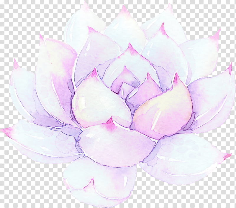 Pink Flower, Watercolor, Paint, Wet Ink, Petal, Rose Family, Still Life , Magnolia Family transparent background PNG clipart