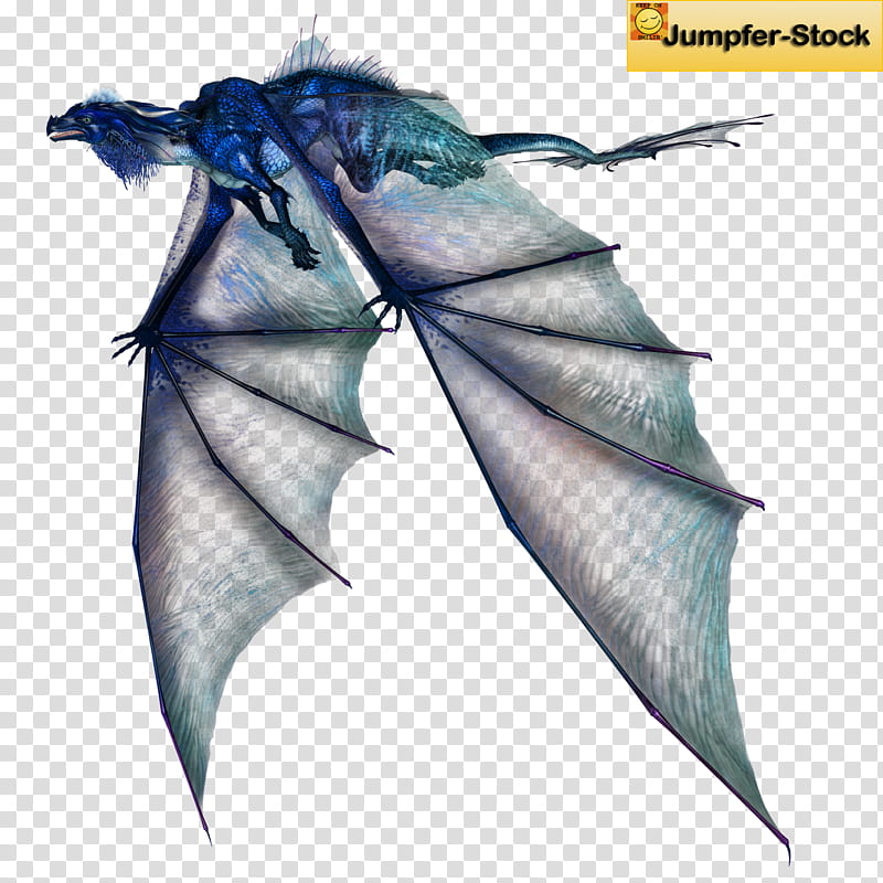 Blue Dragon, blue dragon illustration transparent background PNG clipart