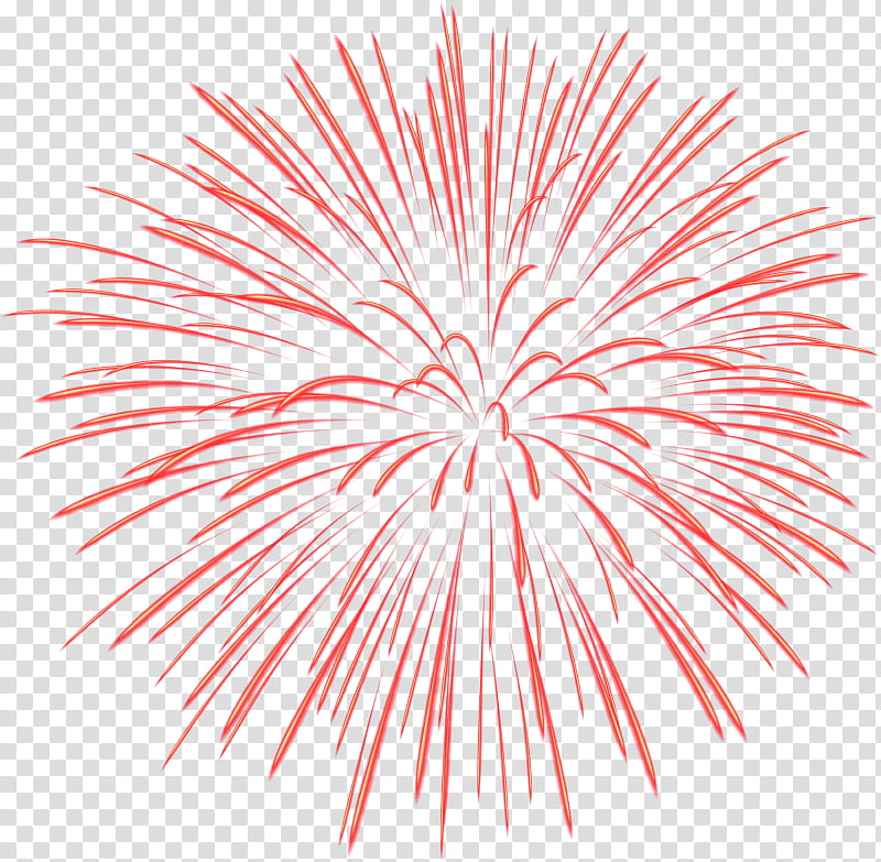 Fireworks, Fireworks , Pink, Line, Symmetry, Circle, Wing, Event transparent background PNG clipart