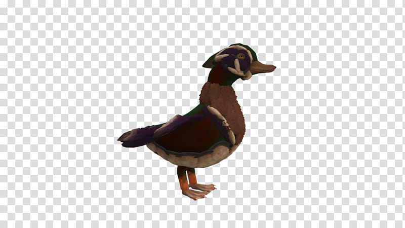 SPORE creature: Wood Duck transparent background PNG clipart