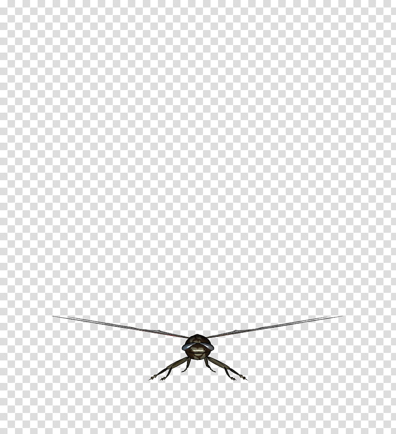 Silver Dragonfly , black insect transparent background PNG clipart