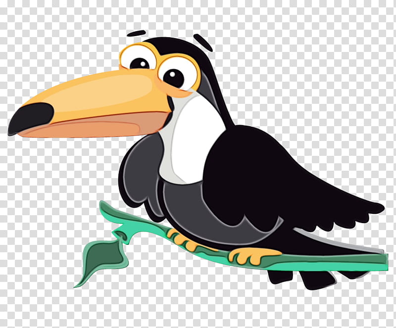 bird toucan cartoon beak piciformes, Watercolor, Paint, Wet Ink, Flightless Bird, Hornbill, Puffin transparent background PNG clipart