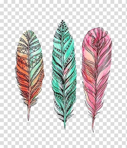 Rebel s, several feathers transparent background PNG clipart