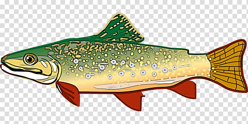 fish fish brown trout trout cutthroat trout, Bonyfish, Rayfinned Fish, Salmon, Fish Products, Salmonlike Fish transparent background PNG clipart