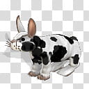 Spore creature Domestic Rabbit , white and black rabbit illustration transparent background PNG clipart