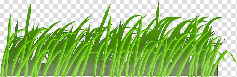 Green Grass, Lawn, Coloring Book, Lawn Mowers, Drawing, Lawn Aerator, Garden, Page transparent background PNG clipart