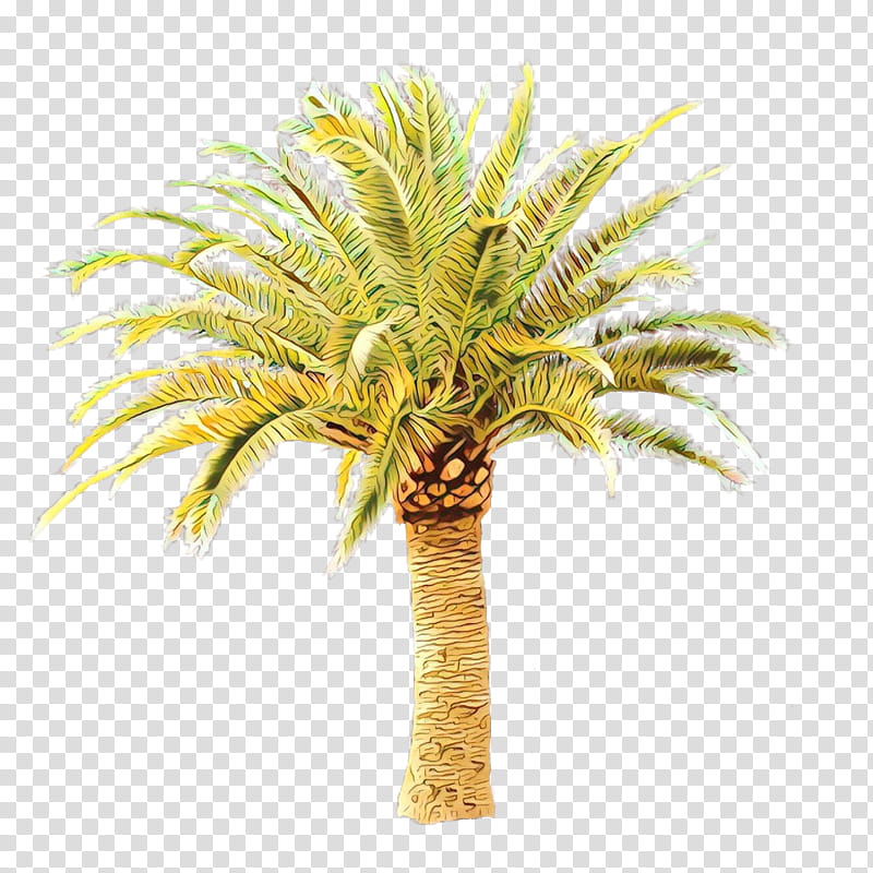Palm tree, Cartoon, Plant, Arecales, Date Palm, Woody Plant, Elaeis, Attalea Speciosa transparent background PNG clipart