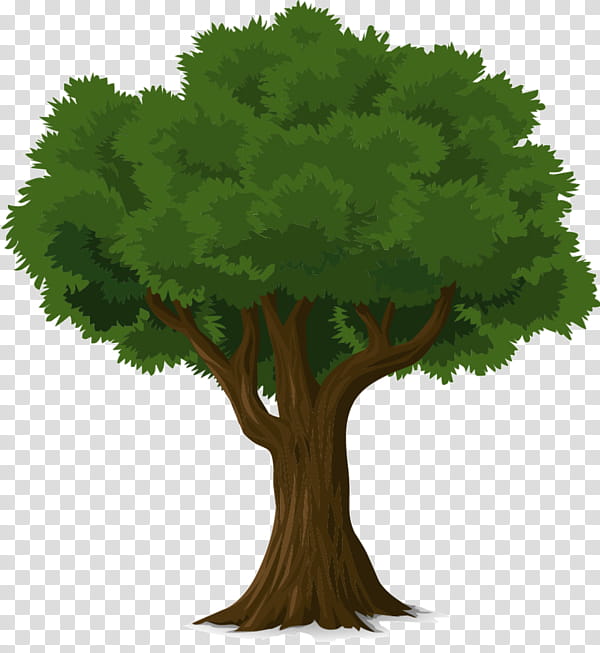 Tree Trunk, Nelson Tree Specialist Inc, Branch, Arborist, Bark, Woody Plant, Leaf, Grass transparent background PNG clipart