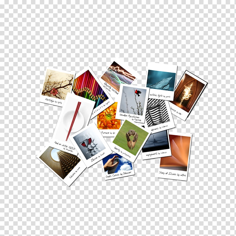 My Favourite graphs, assorted strip lot transparent background PNG clipart