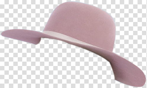 lady-gaga-joanne-hat-png-clipart.jpg