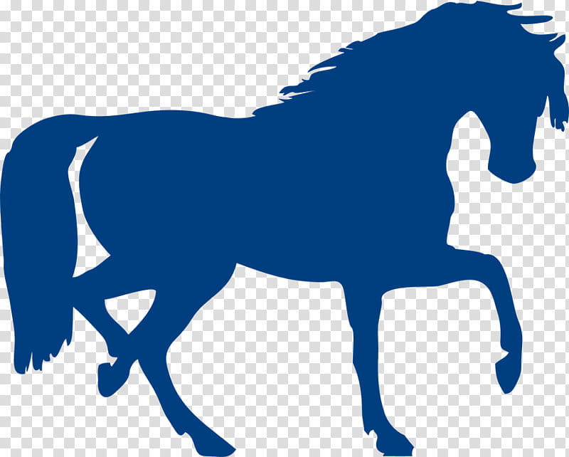 Horse, Arabian Horse, Silhouette, Pony, Riding Horse, Draft Horse, Mane, Animal Figure transparent background PNG clipart