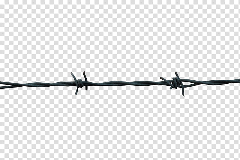 Barbed wire, grey metal barb wire transparent background PNG clipart