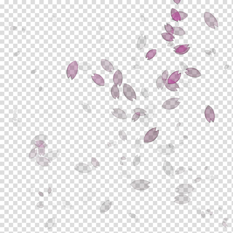 Lavender, Line, Point, Pink M, Violet, Purple, Lilac, Petal transparent background PNG clipart