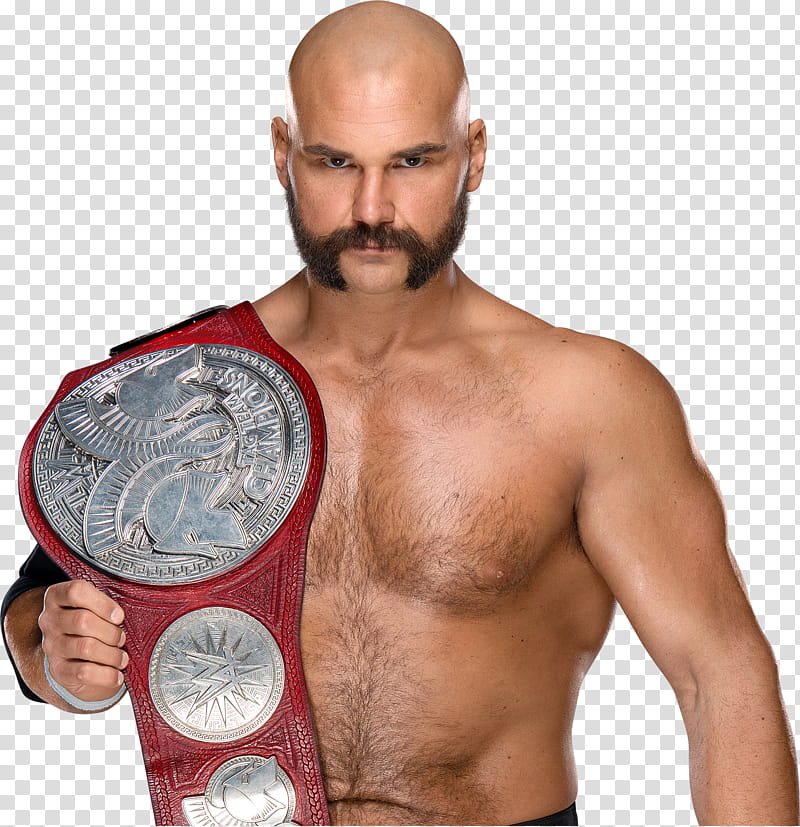 Scott Dawson  RAW Tag Team Champion transparent background PNG clipart