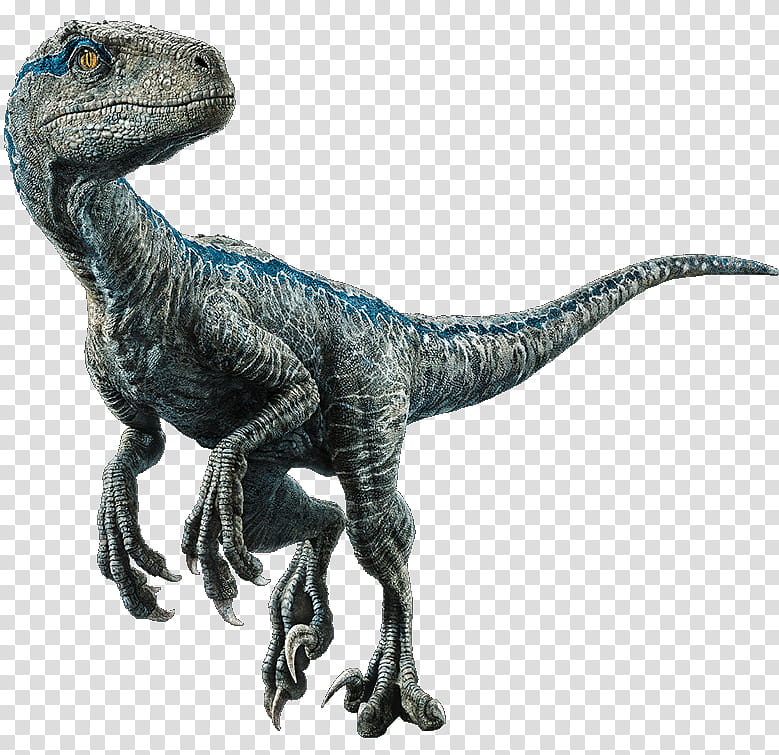 Jurassic World, Velociraptor, Velociraptorvelociraptor, Dinosaur, Owen, Indominus Rex, Jurassic Park, 2018 transparent background PNG clipart