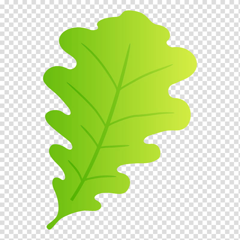 Plane, Oak Leaf, Cartoon Leaf, Green, Plant, Tree, Flower, Vascular Plant transparent background PNG clipart