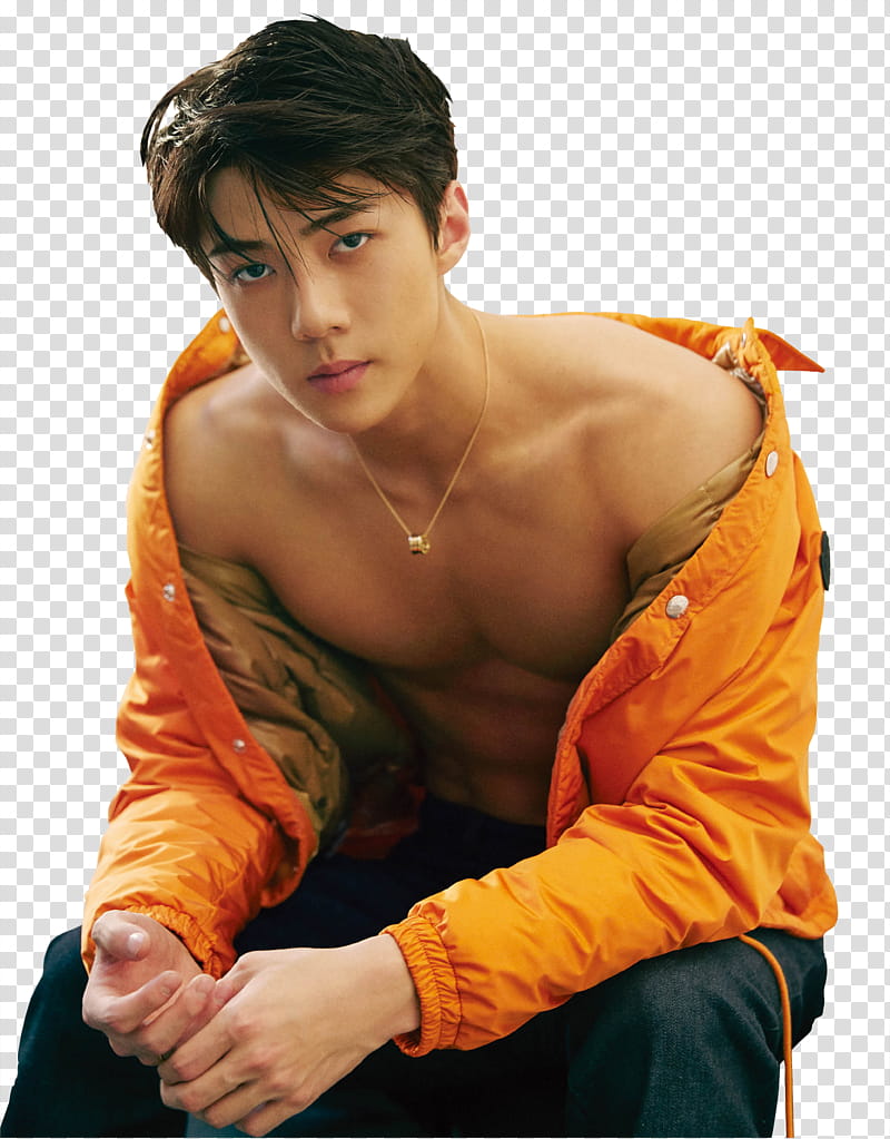 EXO SEHUN transparent background PNG clipart