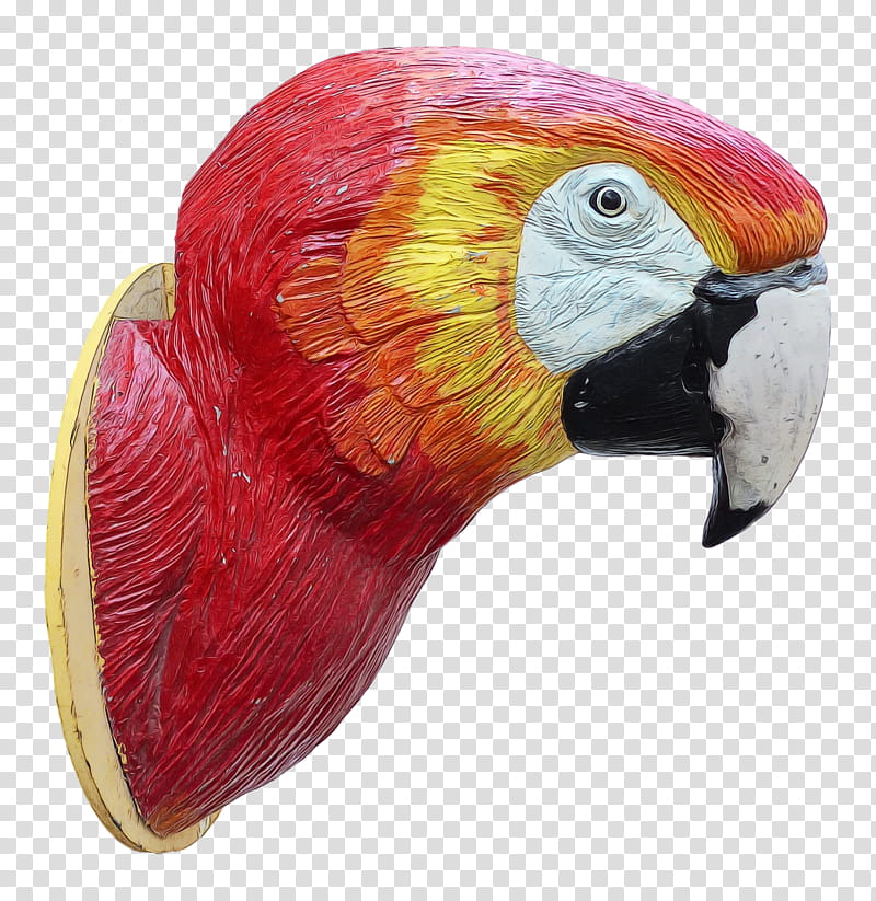 Bird Parrot, Macaw, Beak, Loriini, Piciformes transparent background PNG clipart