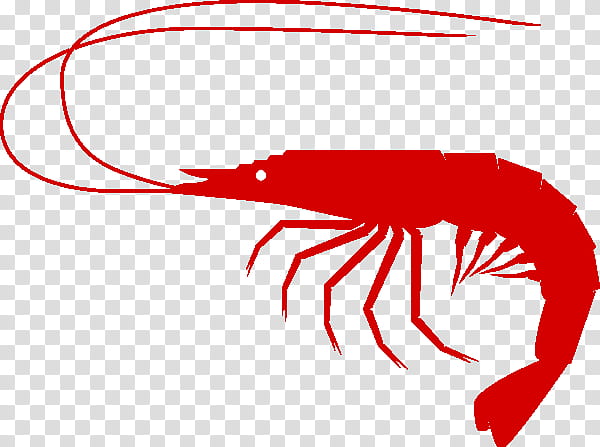 Shrimp, Seafood, Crab, Shrimp And Prawn As Food, Fish, Crayfish, Shrimp Shrimp, Red transparent background PNG clipart