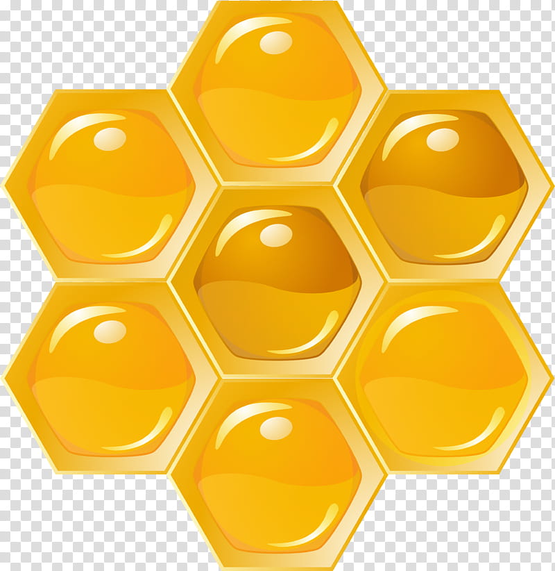 Bee, Western Honey Bee, Honeycomb, Beehive, Beekeeping, Beekeeper, Pollen, Apitherapy transparent background PNG clipart