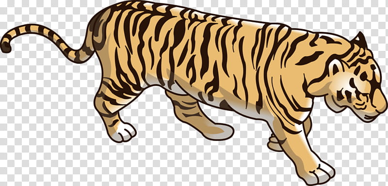 Cat And Dog, Tiger, Lion, Wildcat, Basabizitza, Cartoon, Animal, Animation transparent background PNG clipart
